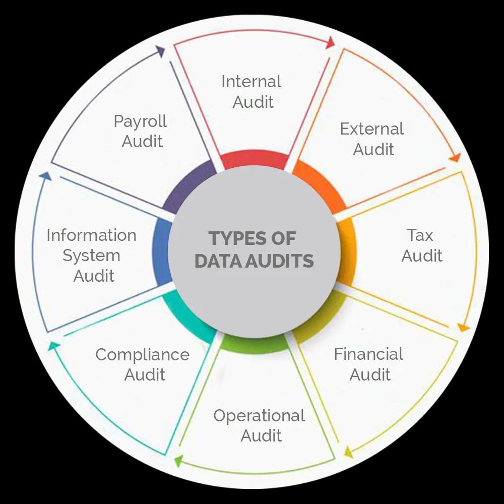 data audit services