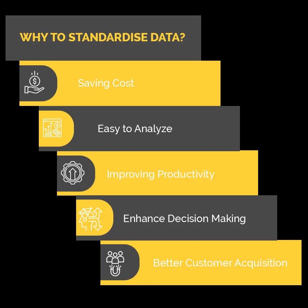 Data Standardization Services