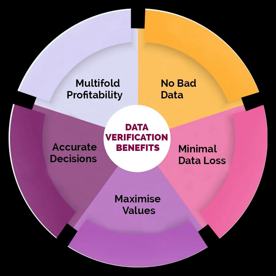 Data Verification Services