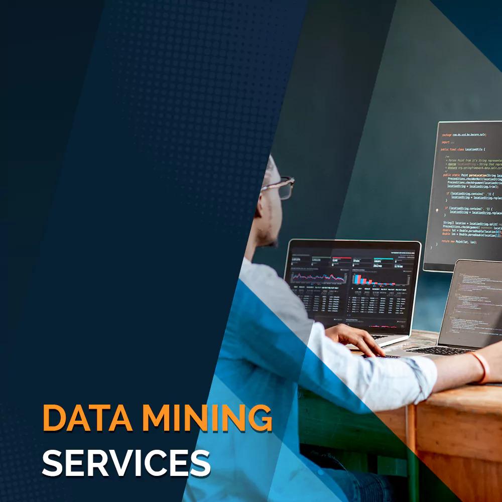 Data Mining Services