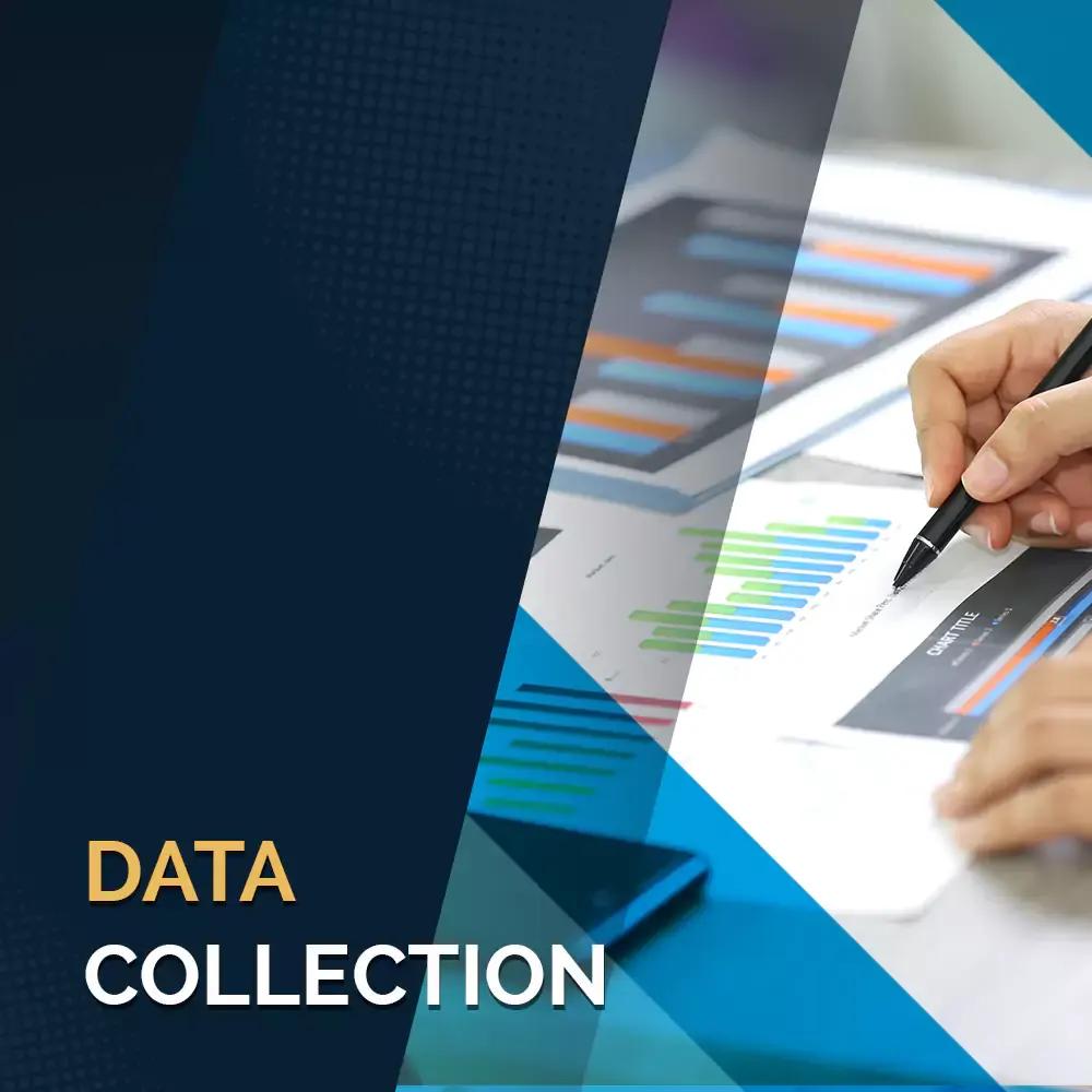 Outsource Data Collection Services