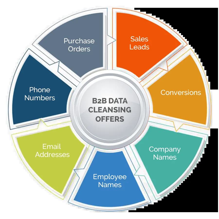 B2B-Data-Cleaning