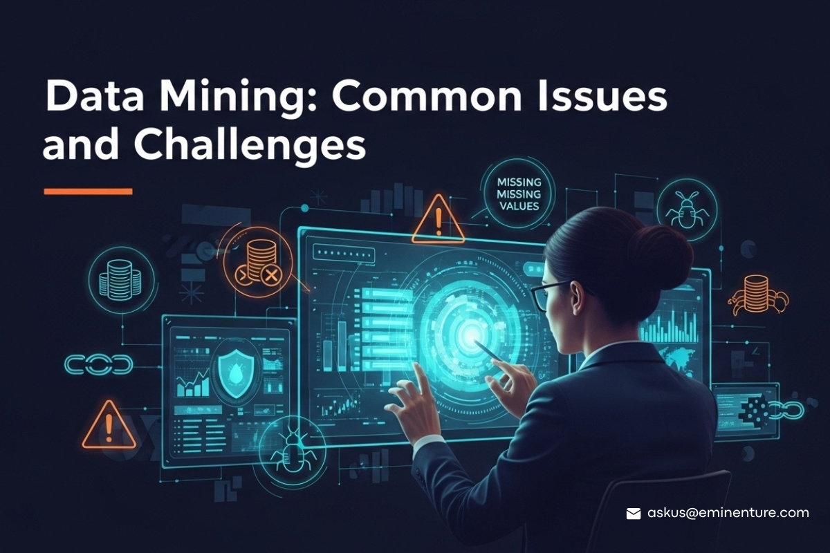 What Are Data Mining Issues?